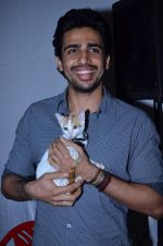 at Pet Adoption camp in Khar, Mumbai on 23rd Nov 2013